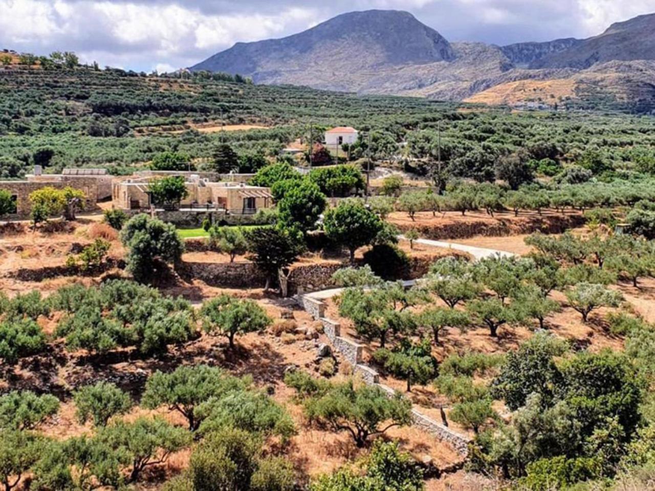 Petrakis Cretan Homes Kissamos Luaran gambar