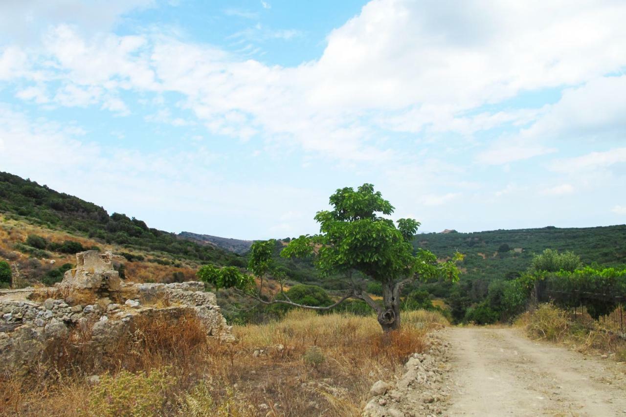 Petrakis Cretan Homes Kissamos Luaran gambar