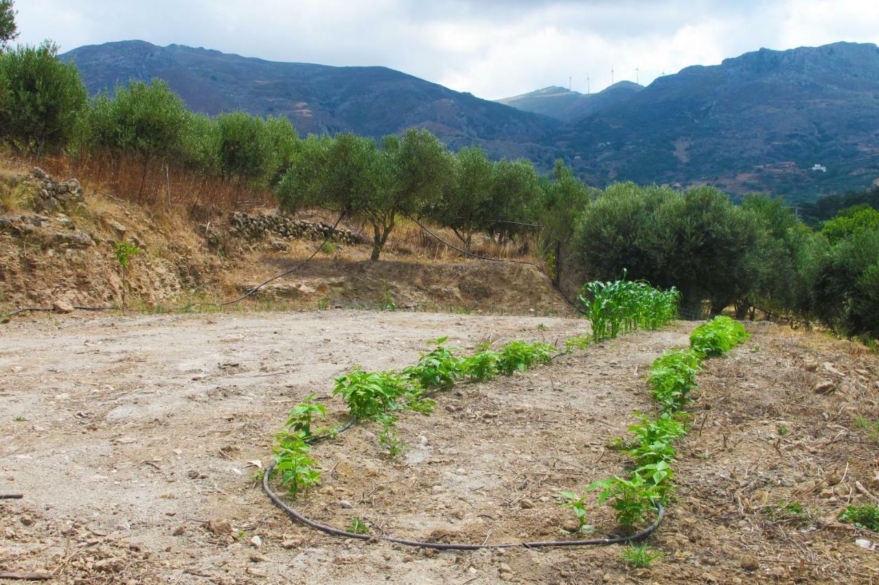 Petrakis Cretan Homes Kissamos Luaran gambar