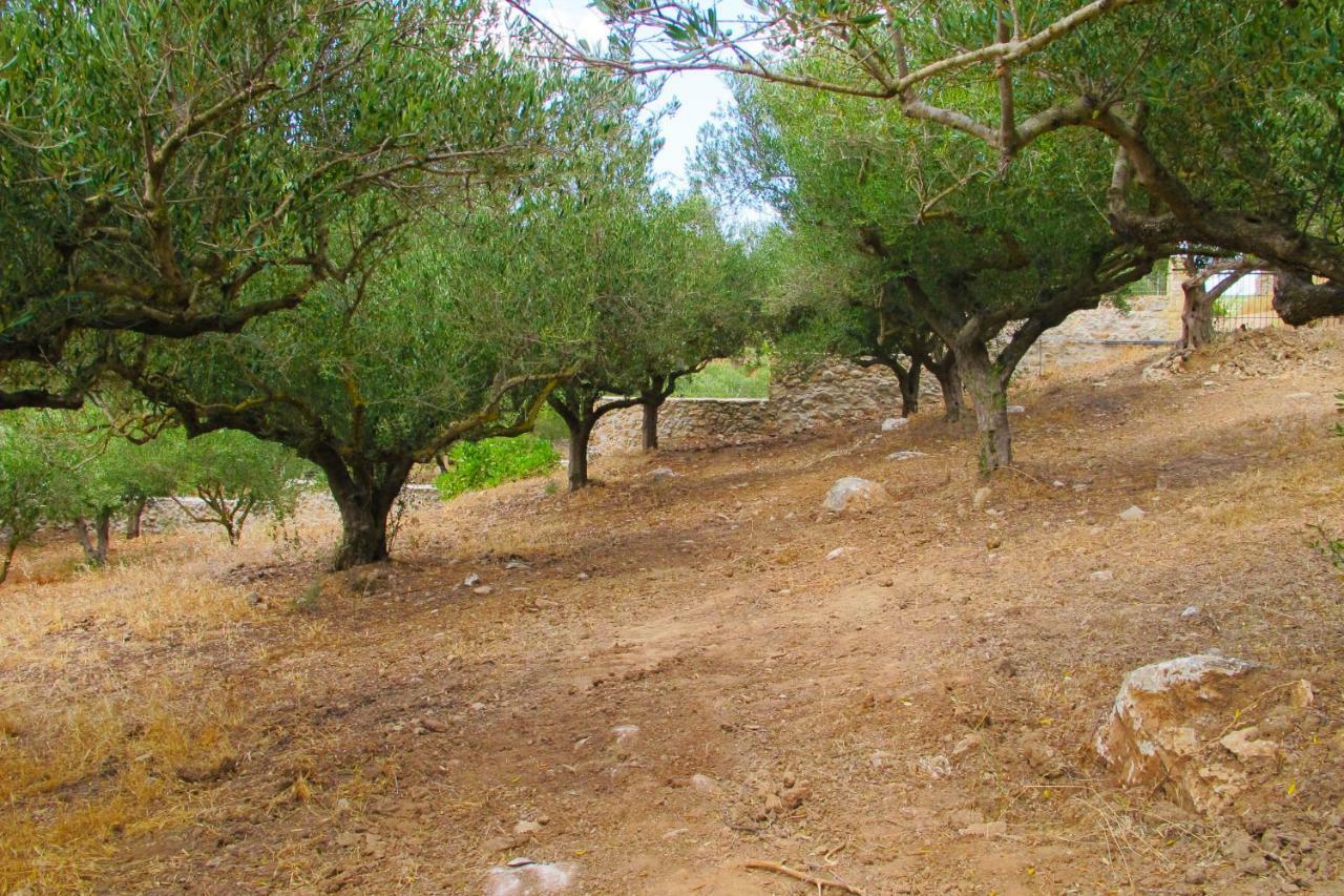 Petrakis Cretan Homes Kissamos Luaran gambar