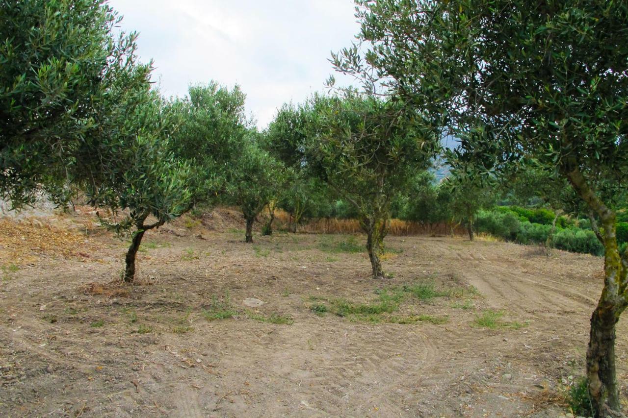 Petrakis Cretan Homes Kissamos Luaran gambar