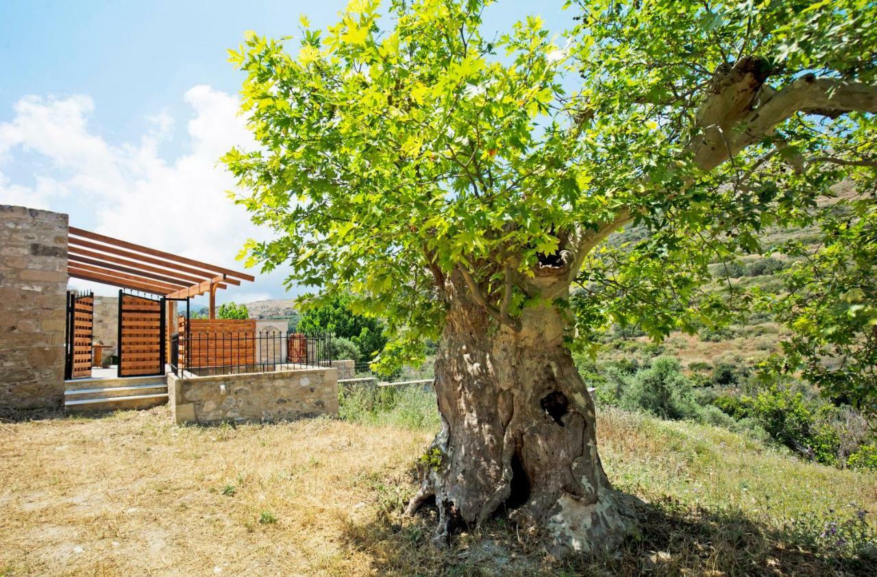 Petrakis Cretan Homes Kissamos Luaran gambar